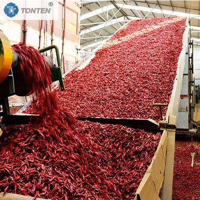 ماشین خشک کن کمربند فلفل چیلی کریزانتم کمربند خشک کن تخلیه آب