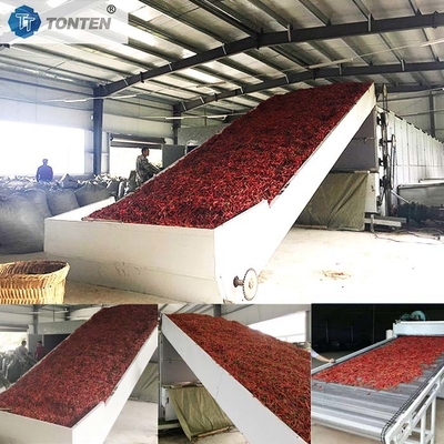 چیلی کریسانتوم کاساو ماشین خشک کن کمربند