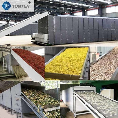 چیلی کریسانتوم کاساو ماشین خشک کن کمربند